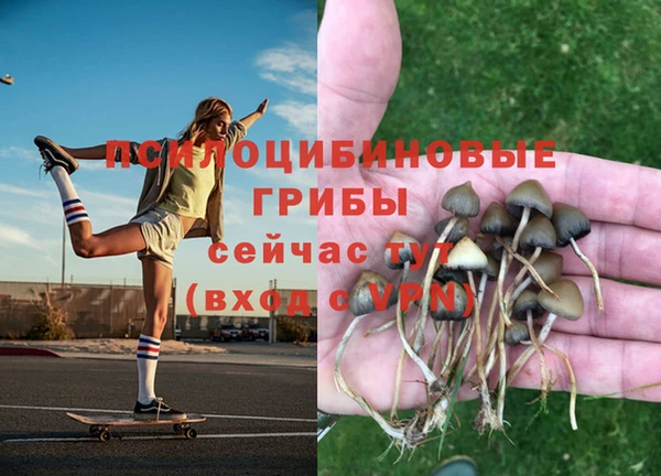 спайс Абдулино