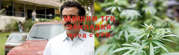 прущие крисы Абаза