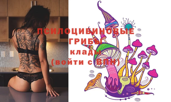 спайс Абдулино