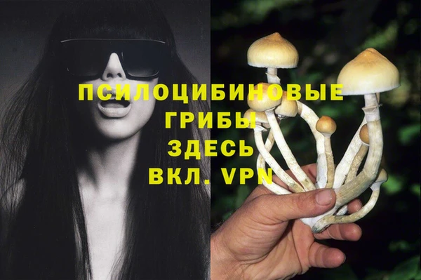 амф Абинск