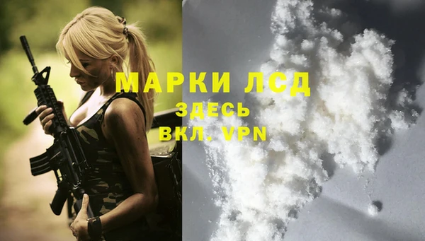 прущие крисы Абаза
